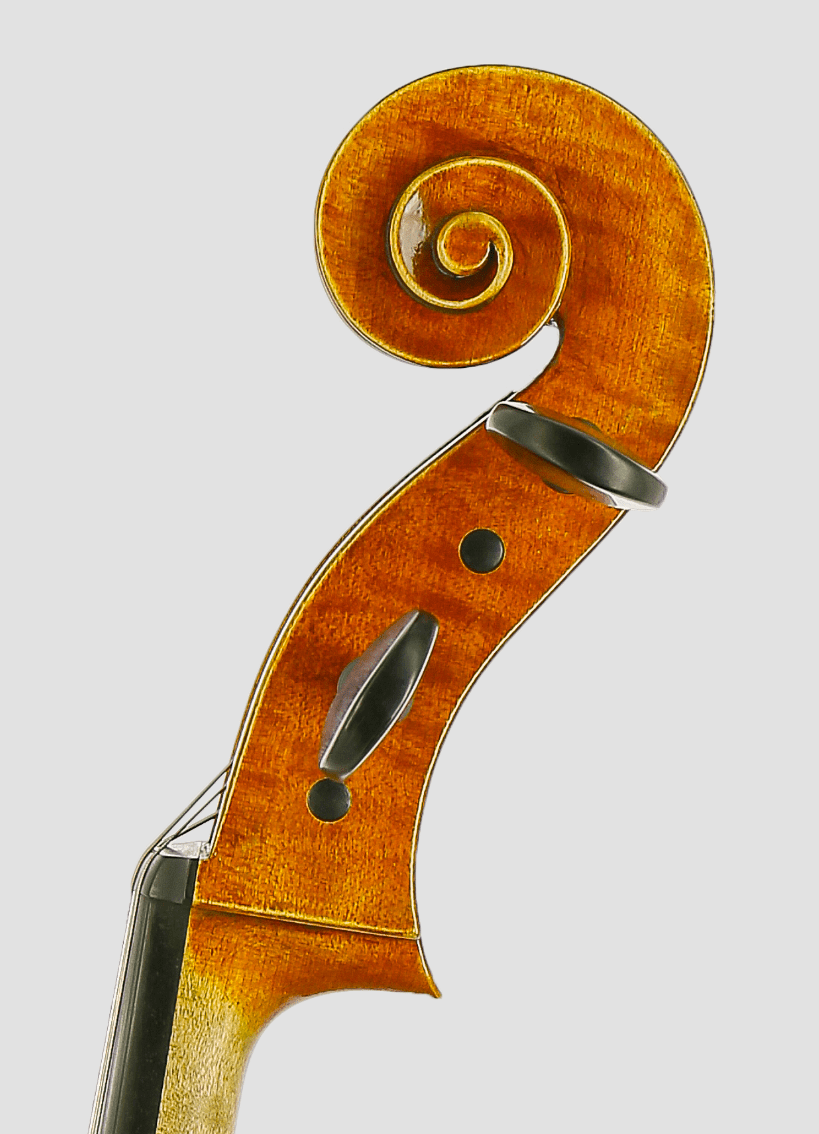 Cello Eduard Bosque 2020