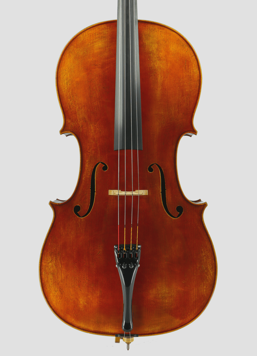 Cello Martin Haup