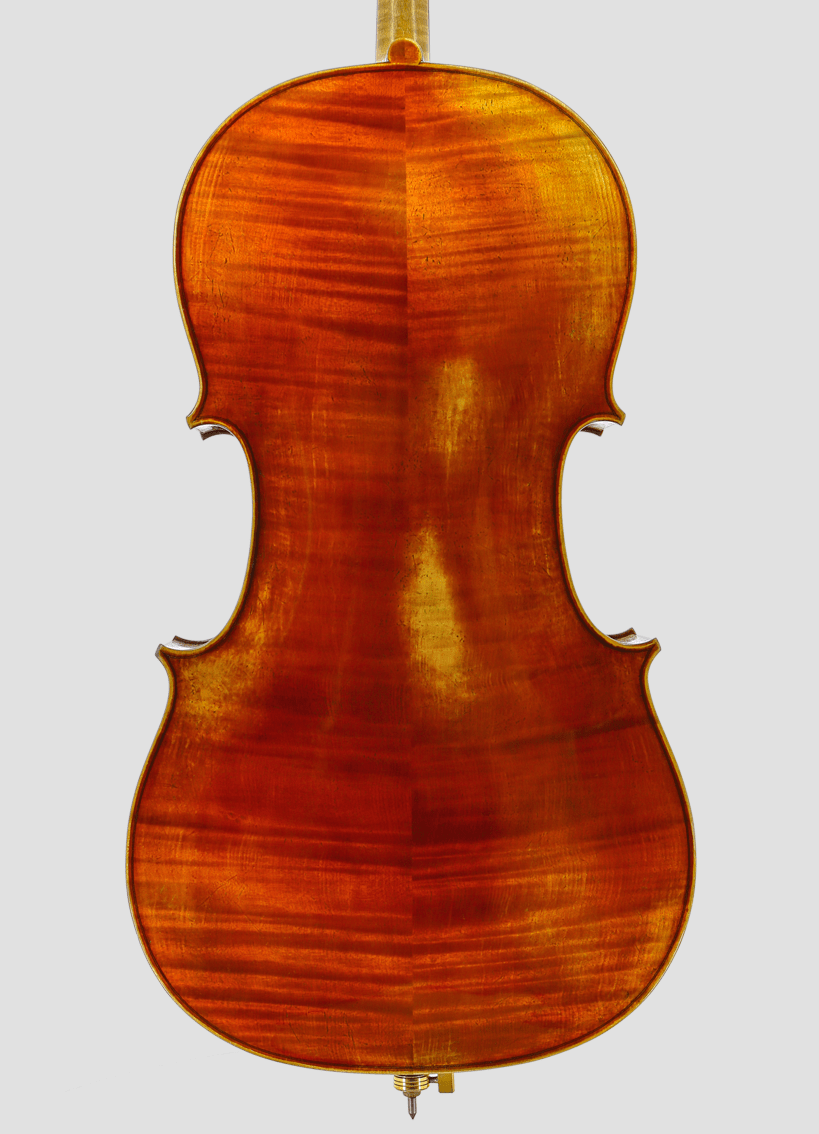 Cello Martin Haup