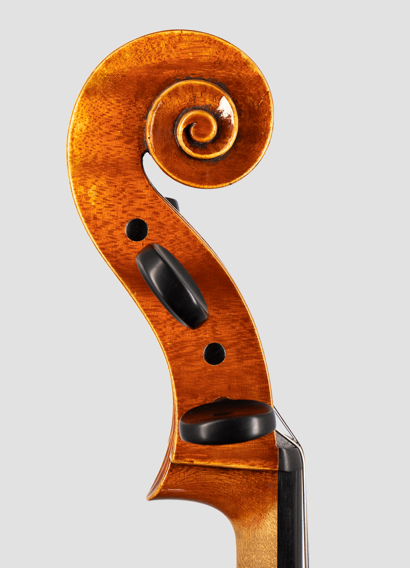 Cello Edu Bosque Barcelona